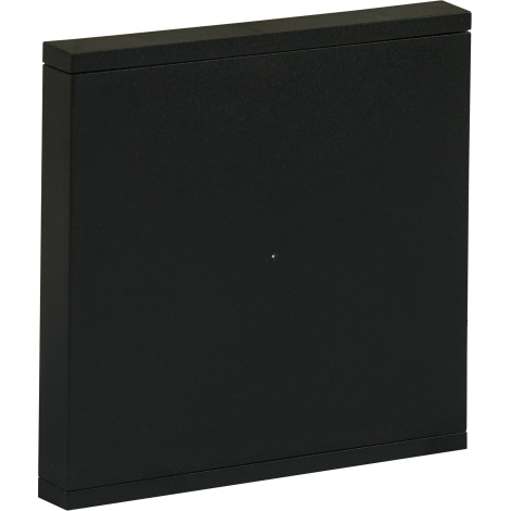 Oria Single anthracite switch (front status)